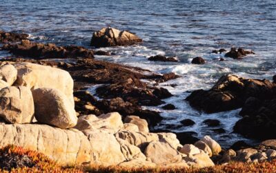 El papel de la ciencia en la protección marina sostenible